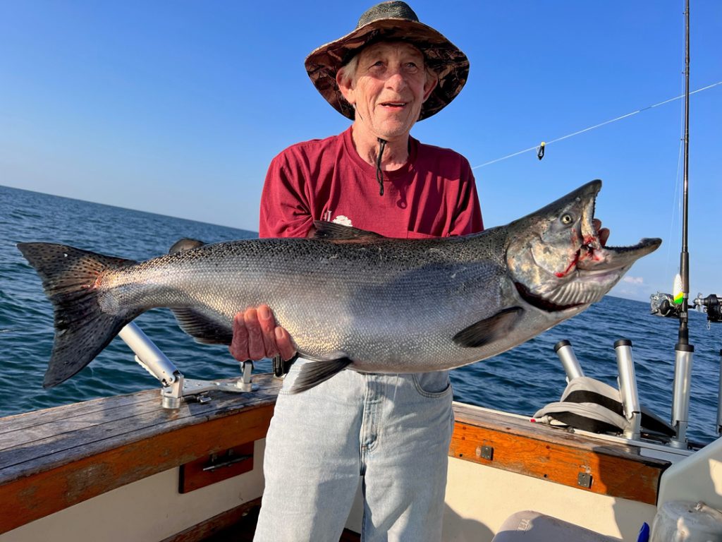 Al G. king salmon