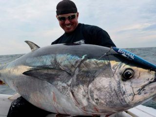 bluefin tuna