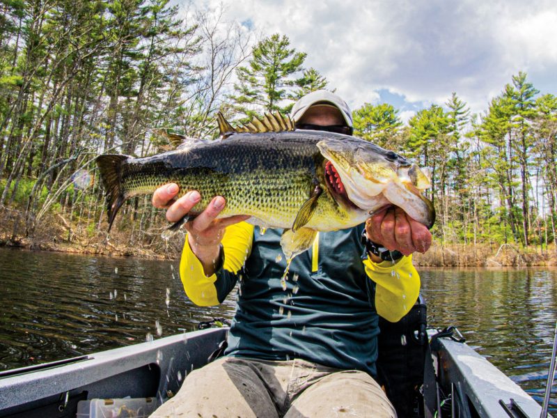 big largemouth on ultralight gear