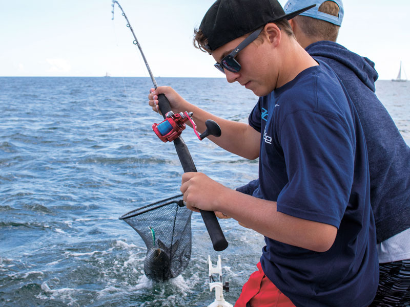 bluefish on trolling rod