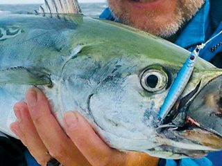 Daddy Mac Albie/Bonito Jig