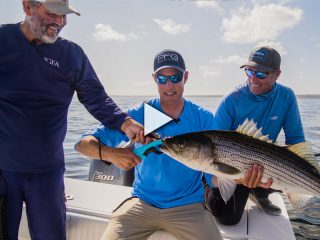 Fall Run Stripers and Bluefish