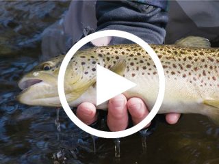 Float fishing on the Farmington river