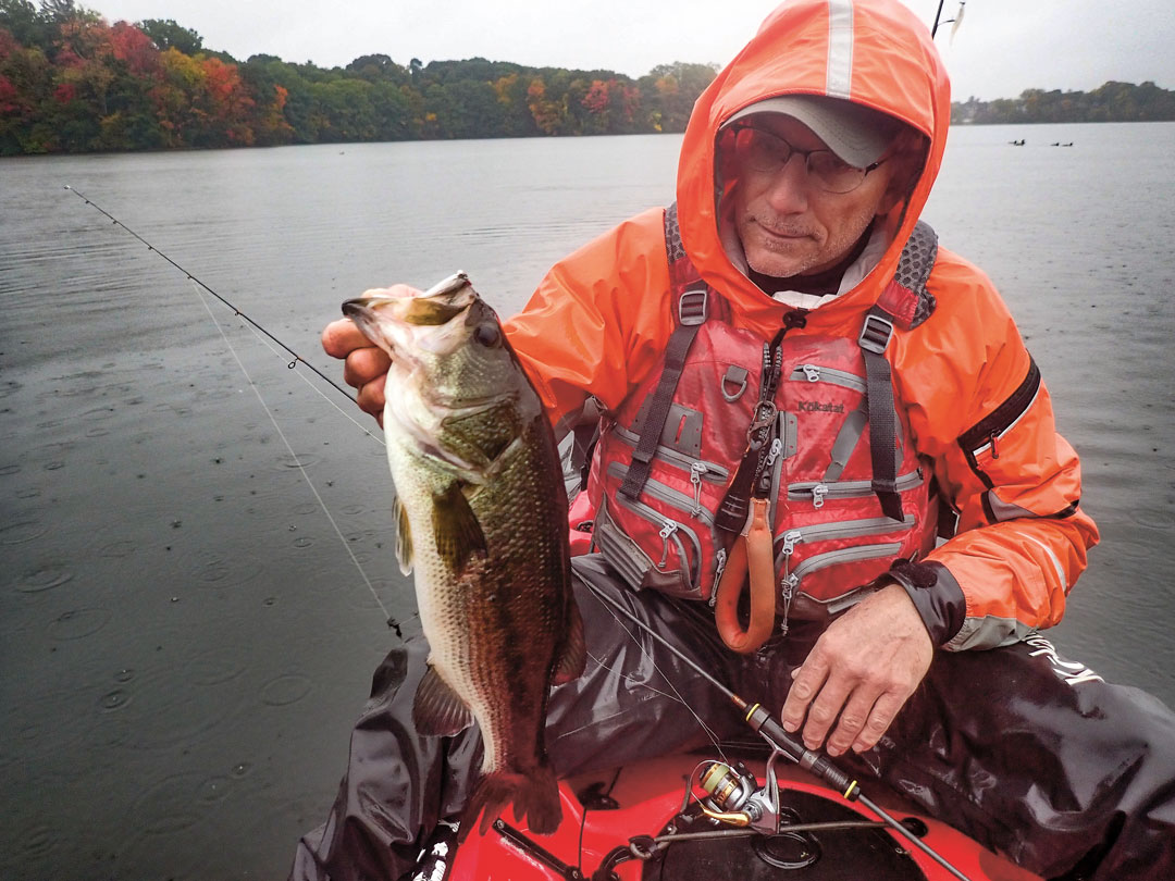 largemouth bass