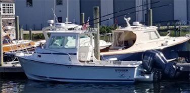 28’ 2019 SteigerCraft 28 DV Miami