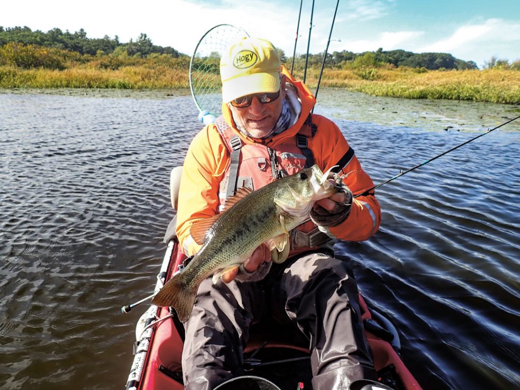 largemouth landed on minnow-bait