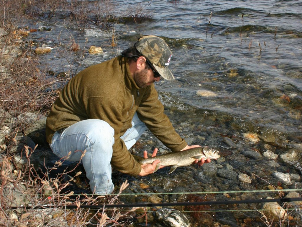 lake trout on windblown shoreline