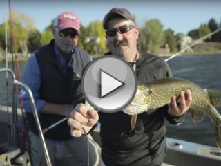 Lake Champlain Pike and Bass