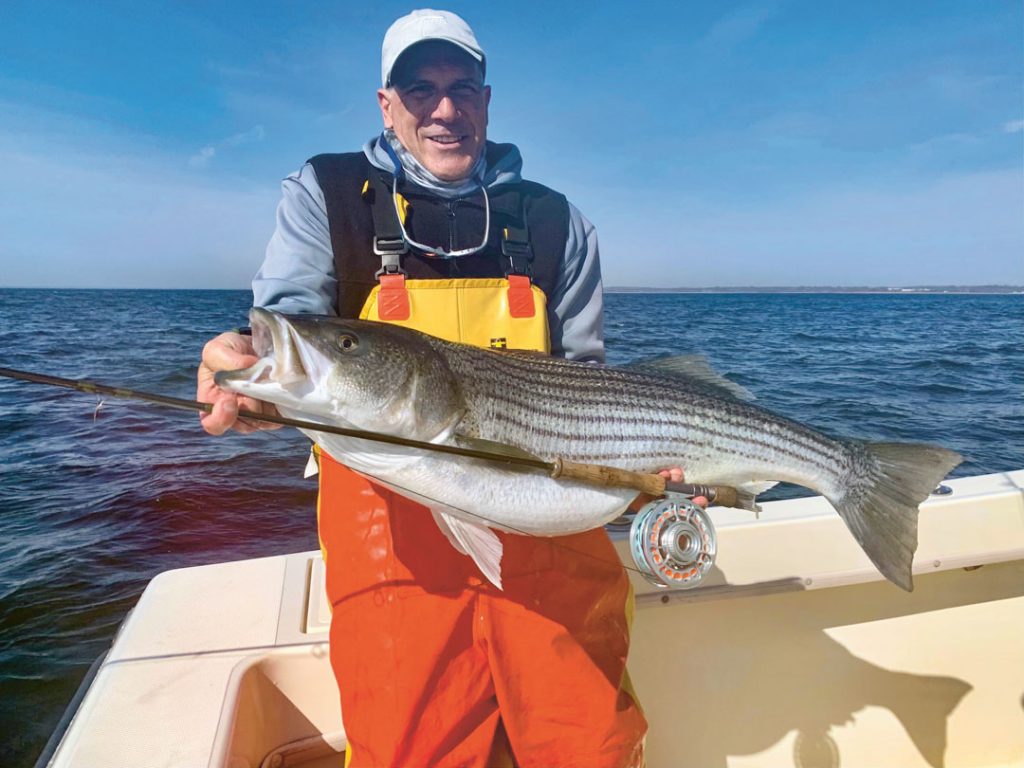 Maz Man with Raritan Bay striped bass