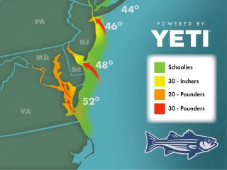 Striper Migration Map - March 31, 3023