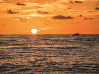 Offshore Fishing scene