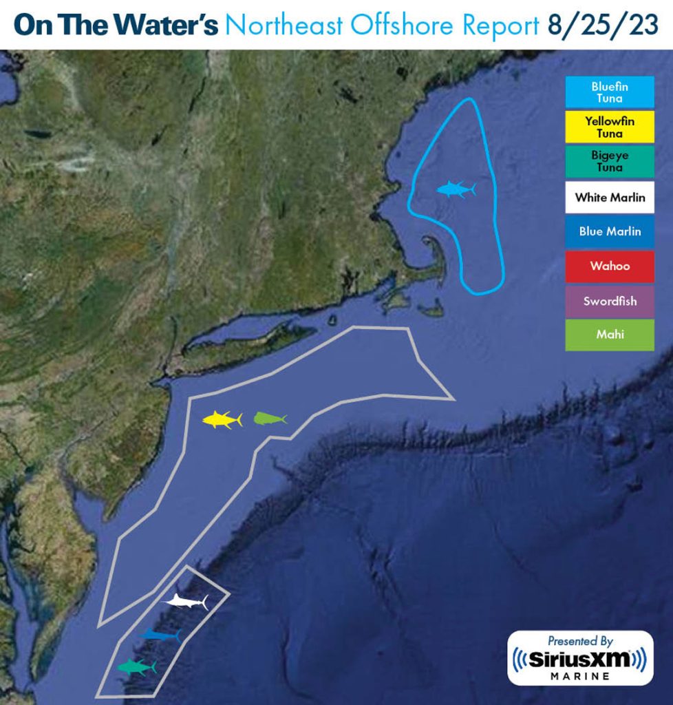 Offshore Migration Map 
2023-8-25