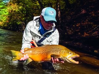 Follow these fishing tips to catch large brown trout at Lake Ontario and the surrounding tributaries.