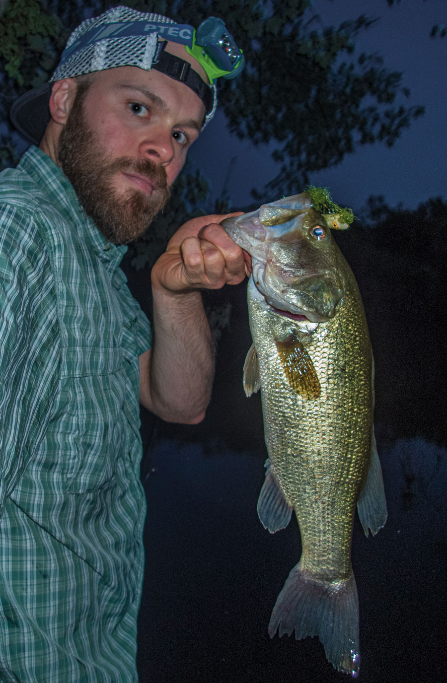 largemouth at dusk