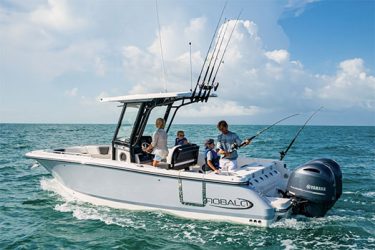 Robalo R250