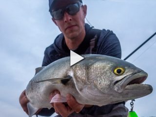 Shore Fishing for Bluefish