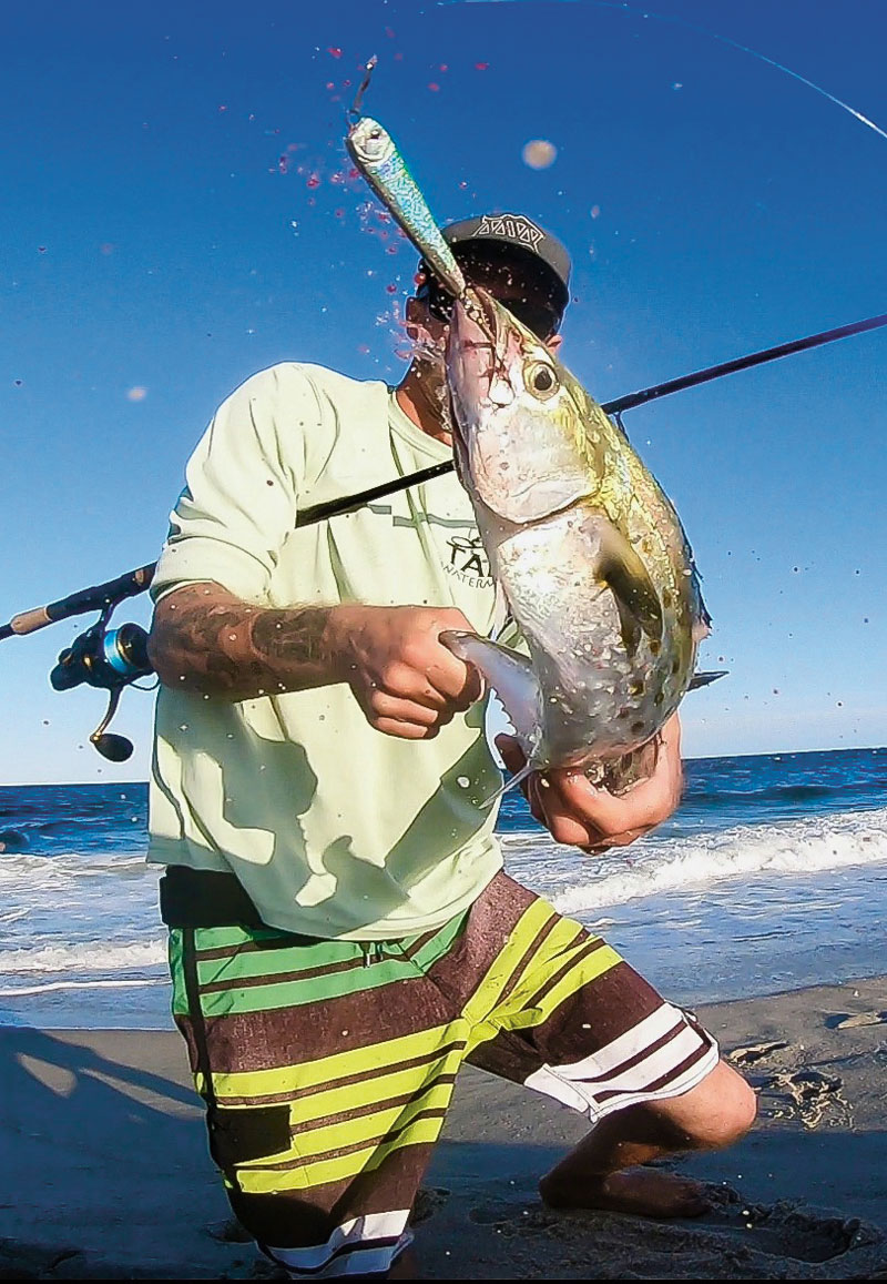 Spanish mackerel thrashing