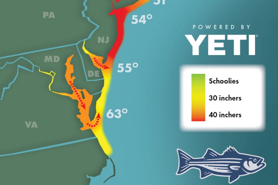 Striper Migration Map 5/5/2023