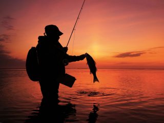 Barnegat Bay sunset striper