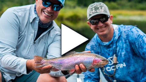 Fly Fishing the Swift River