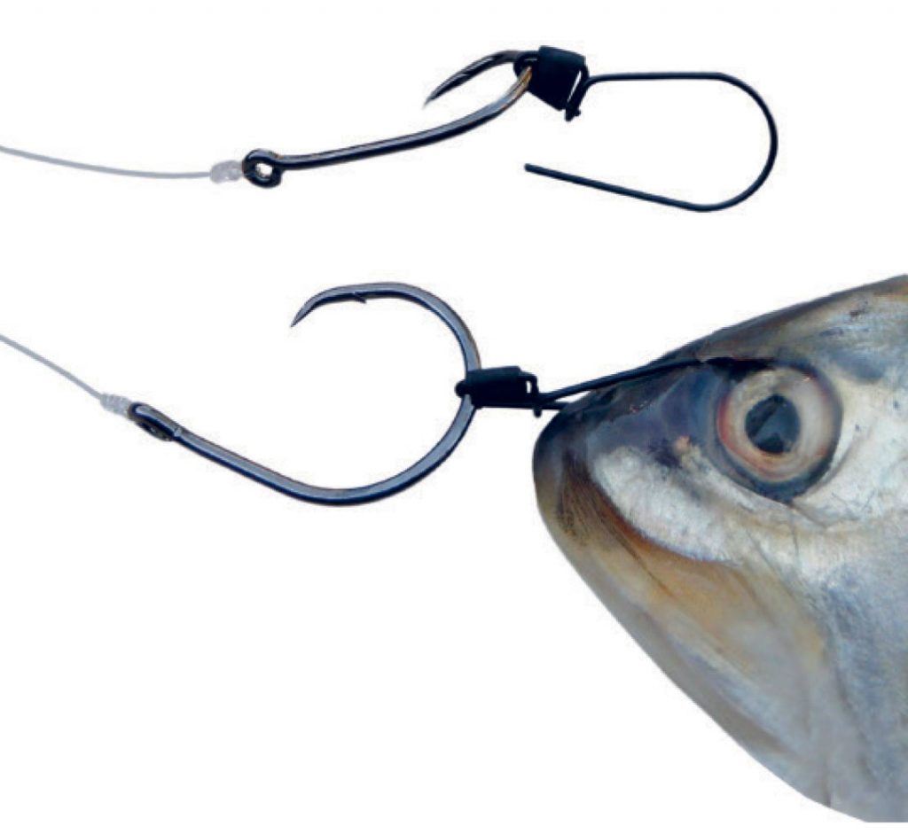 Ultimate Bait Bridle