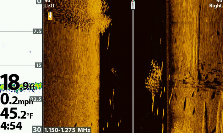 Baitfish Side Scan Sonar