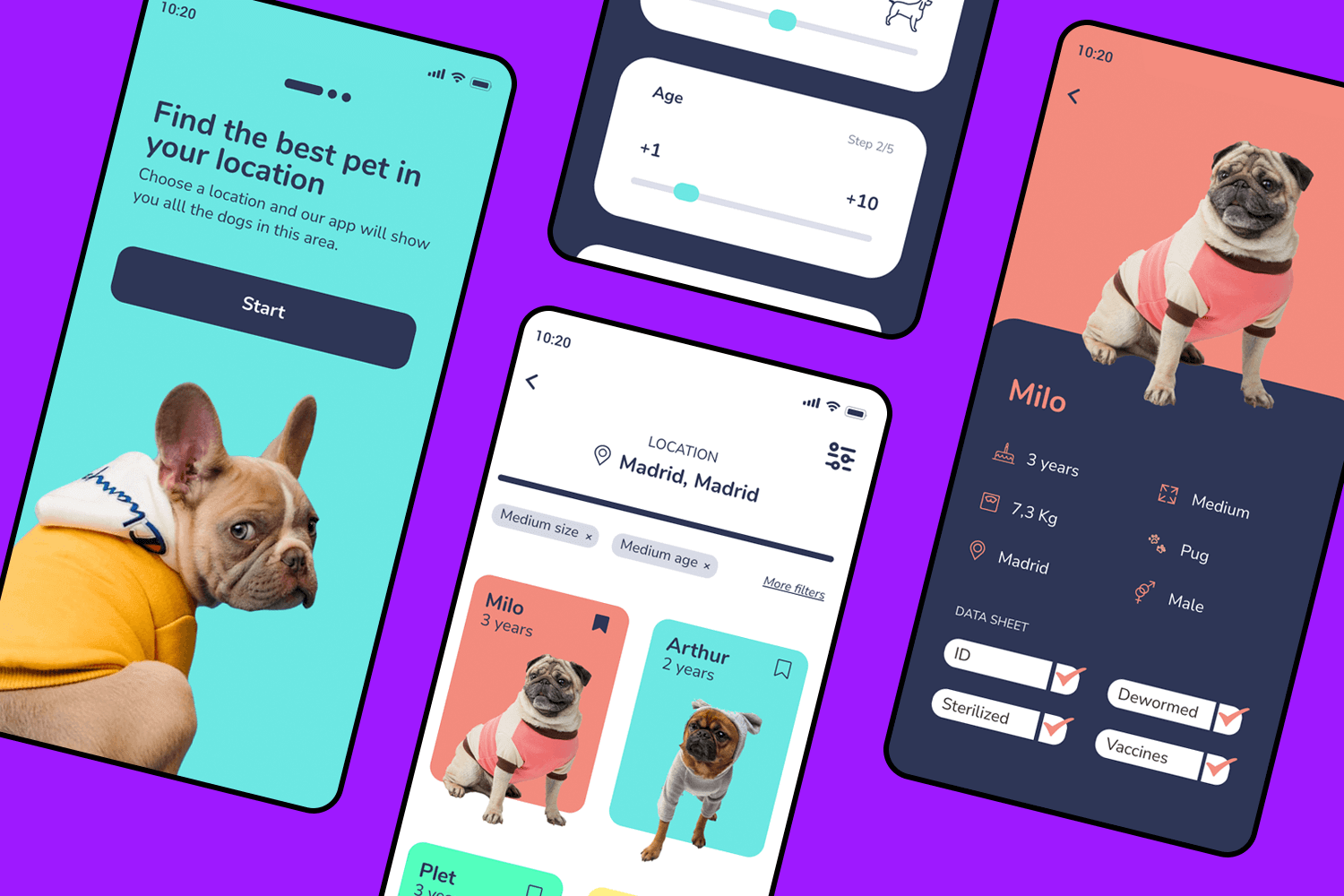 Dog adoption app UI design example