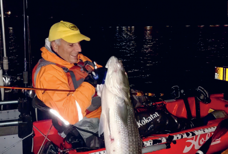 Night Striper Fishing