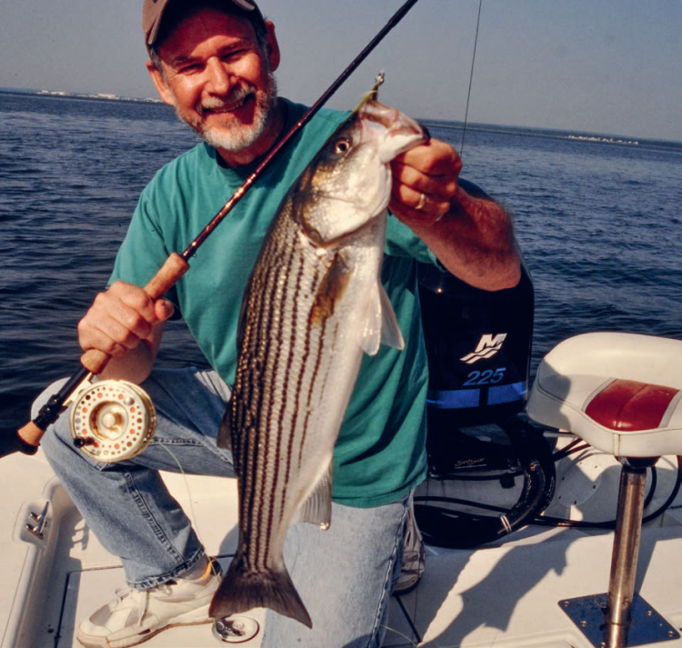 Narragansett Bay Striper