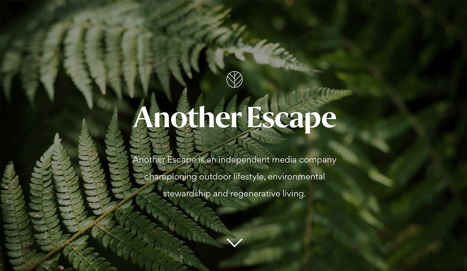 Parallax effect website scrolling - Another Escape